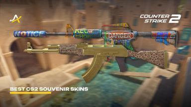 Picture for cs2
