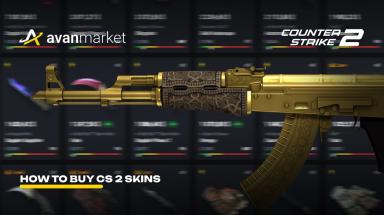 Picture for cs2