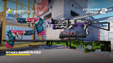 Picture for cs2